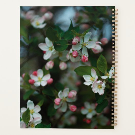 Blühender Apfelbaum Planer (Rückseite)