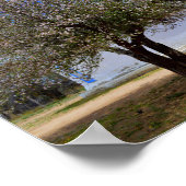 Blühender Apfelbaum, Sangre De Cristo Kapelle, N.M Poster (Ecke)