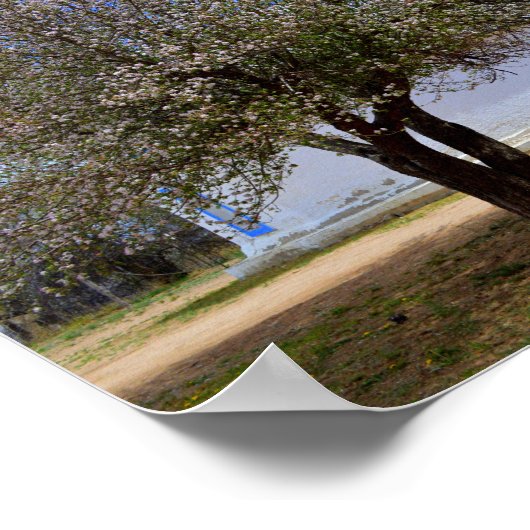 Blühender Apfelbaum, Sangre De Cristo Kapelle, N.M Poster (Ecke)