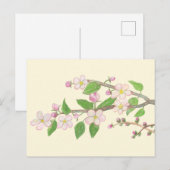 Blühender Apfelbaumzweig Postkarte (Vorne/Hinten)