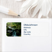 Blühender Bach, grüne Mossy Felsen, Wald Natur (Insitu)