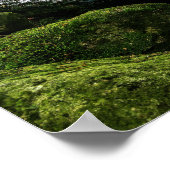 Blühender Bach, grüne Mossy Felsen, Wald Natur Poster (Ecke)