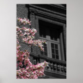 blühender Balkon Poster (Vorne)