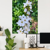 Blühender Baum im Frühling Rumänien – Blütenfotogr Poster (Heimbüro)