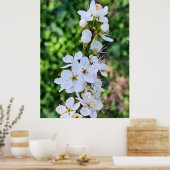 Blühender Baum im Frühling Rumänien – Blütenfotogr Poster (Küche)