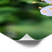 Blühender Baum im Frühling Rumänien – Blütenfotogr Poster (Ecke)