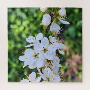 Blühender Baum im Frühling Rumänien – Blütenfotogr Puzzle