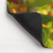 Blühender Crabapple Fall Mousepad (Ecke)