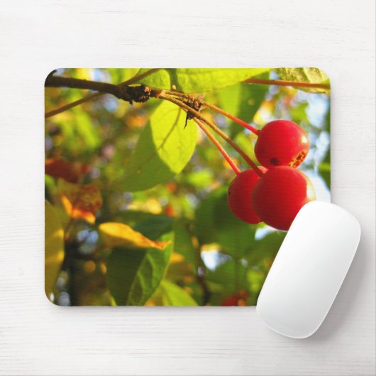 Blühender Crabapple Fall Mousepad (Mit Mouse)