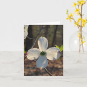 Blühender Hartriegel Karte (Gelbe Blume)