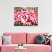 Blühender Hartriegelbaum Leinwanddruck (Insitu (Wohnzimmer))