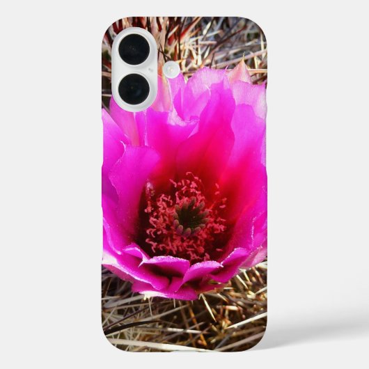Blühender Kaktus (Feigenkaktus) Wildblume Case-Mate iPhone Hülle (Rückseite)