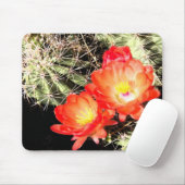 Blühender Kaktus nachts Mousepad (Mit Mouse)
