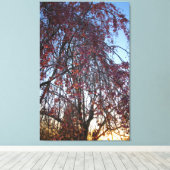 Blühender Kirschbaum im Frühling Leinwanddruck (Insitu (Holzboden))