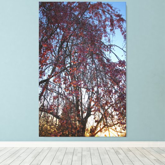 Blühender Kirschbaum im Frühling Leinwanddruck (Insitu (Holzboden))