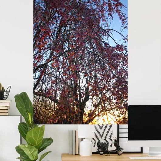 Blühender Kirschbaum im Frühling Poster (Heimbüro)