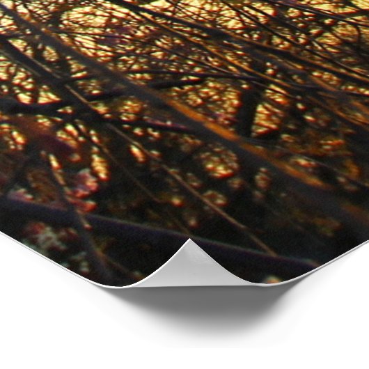 Blühender Kirschbaum im Frühling Poster (Ecke)