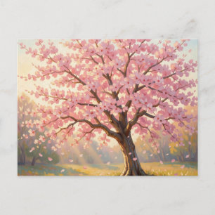 Blühender Kirschblütenbaum Frühling Postkarte