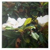 Blühender Magnolienbaum Fliese (Vorderseite)
