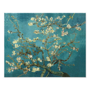 Blühender Mandelbaum - Van Gogh Fotodruck