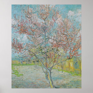 Blühender Pfirsichbaum Poster