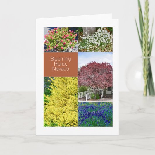 Blühender Reno, Nevada, Blume Fotos Karte (Vorderseite)
