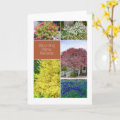 Blühender Reno, Nevada, Blume Fotos Karte (Gelbe Blume)