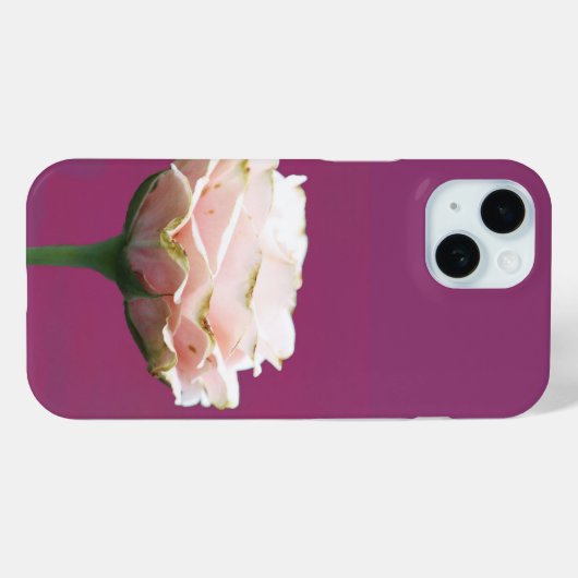 Blühender Rose Single auf Magenta Case-Mate iPhone Hülle (Rückseite (Horizontal))
