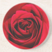 blühender Rose Untersetzer (Vorne)