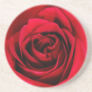 blühender Rose Untersetzer