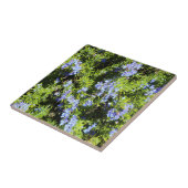 blühender Rosmarinbusch Fliese (Seite)