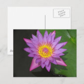 Blühender Ruhm Postkarte (Vorne/Hinten)