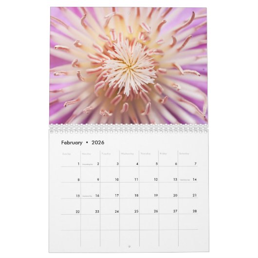 Blühender Schönheitskalender Kalender (Feb 2026)