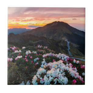 Blühender Taroko Nationalpark des Rhododendron- Fliese