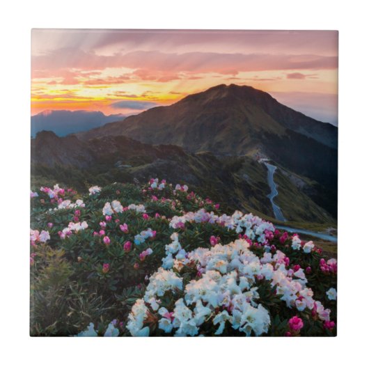Blühender | Taroko Nationalpark des Rhododendron- Fliese (Vorderseite)