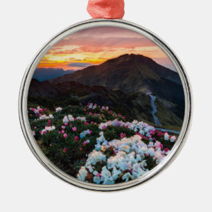 Blühender Taroko Nationalpark des Rhododendron- Ornament Aus Metall