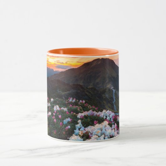 Blühender | Taroko Nationalpark des Rhododendron- Tasse (Zentrum)