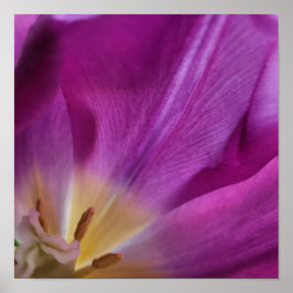Blühender violetter Tulpen-Druck Poster