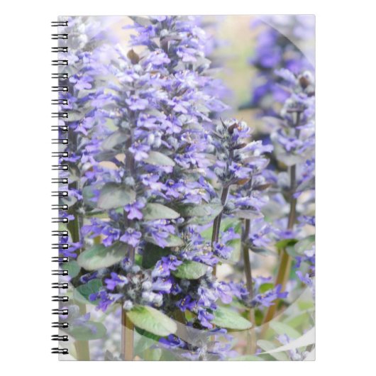 Blühendes Ajuga-Notizbuch Notizblock (Vorderseite)