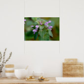 Blühendes Deadnettle-Wildblume-Poster Poster (Küche)