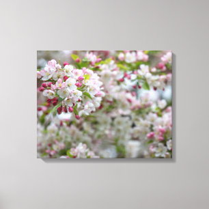 Blühendes Krabbe-Apple Leinwanddruck