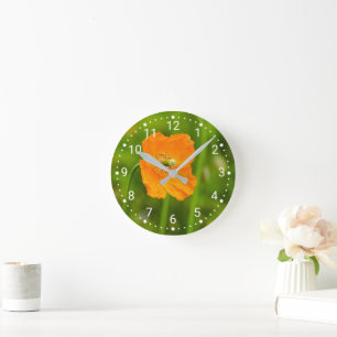 Blühendes Orangenmohn-Blume-Foto auf Grün Runde Wanduhr