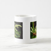 Blühendes Rhubarb Stalks Naturschutzgebiet Foto Kaffeetasse (Mittel)