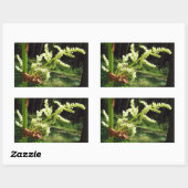 Blühendes Rhubarb Stalks Naturschutzgebiet Foto Rechteckiger Aufkleber (Blatt)