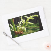 Blühendes Rhubarb Stalks Naturschutzgebiet Foto Rechteckiger Aufkleber (Umschlag)