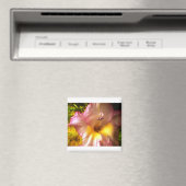 Blühendes Rosa Blume Magnet (In Situ (Geschirrspüler))