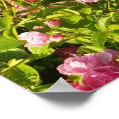 Blühendes Rosarium Poster (Ecke)