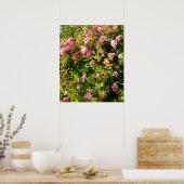 Blühendes Rosarium Poster (Küche)