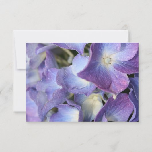 ©Bluish Lila Hydrangea UAWG Response Card RSVP Karte (Rückseite)