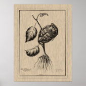 Blum de explosive poster (Vorne)